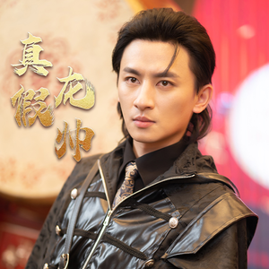 真假龙帅（81集）红果免费短剧