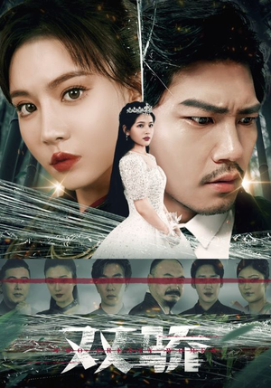 双骄(66集) 双骄(66集)免费看全网短剧