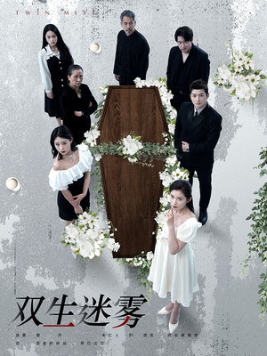 双生迷雾（80集）短剧推荐更新中