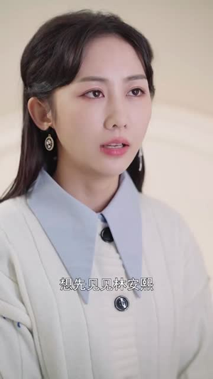 你我的不期而遇（37集）热门爆款短剧