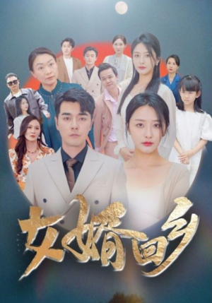 女婿回乡（120集）免费观看