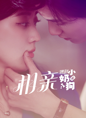 相亲遇到小奶狗（80集）西瓜短剧免费看