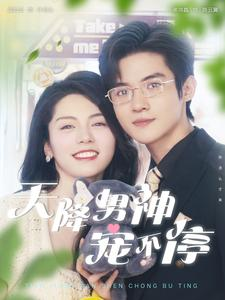 天降男神宠不停（100集）红果免费短剧