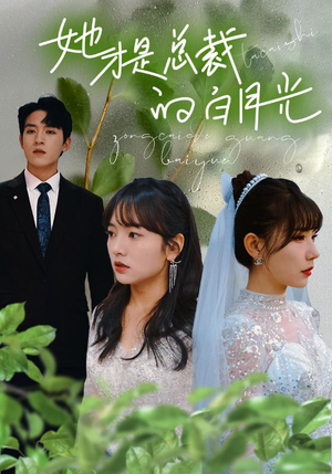 她才是总裁的白月光(90集) 她才是总裁的白月光(90集)短剧免费分享