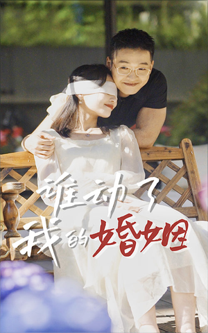 谁动了我的婚姻（24集）在线看免费版