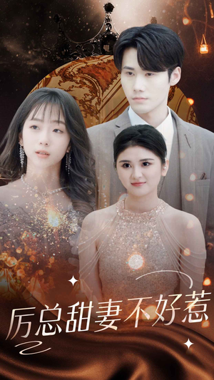 历总前妻不好惹（75集）在线看完整版