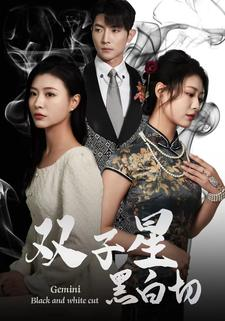 双子星黑白切（82集）视频在线看