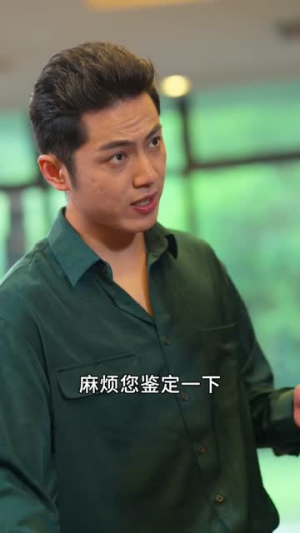 高手下山，退婚九个未婚妻（100集）热门短剧推广