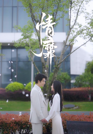 情靡（92集）百度网盘在线看