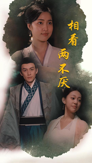 相看两不厌(85集) 相看两不厌(85集)解说