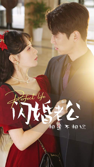 闪婚老公相逢不相识(90集) 闪婚老公相逢不相识(90集)这短剧太好看了