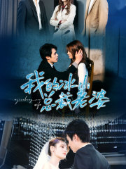 我的冰山总裁老婆（93集）剧情简介