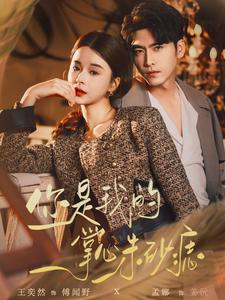 你是我的掌心朱砂痣（80集）精彩的网络短剧