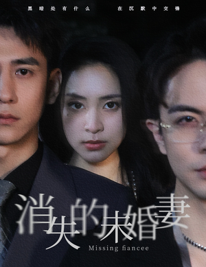 消失的未婚妻（82集）更新时间一览表