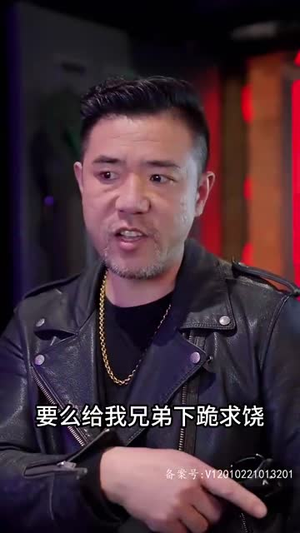 28.系统提示您的钱已到账（100集）免费看短剧全集