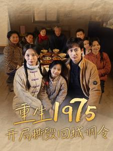 重生1975开局撕毁回城调令（83集）好看短剧看不停