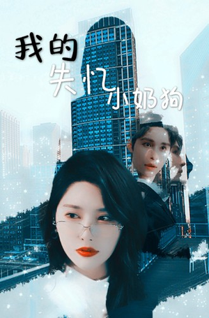 我的失忆小奶狗（64集）短剧太好看了吧