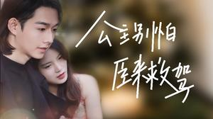 公主别怕,臣来救驾(90集) 公主别怕,臣来救驾(90集)全集完整版