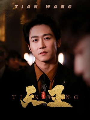 5天王（100集）免费看