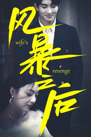 风暴之后(80集) 风暴之后(80集)大结局