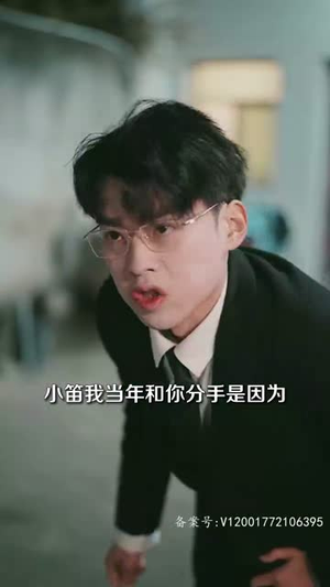 风起时见你（93集）爆款短剧推荐