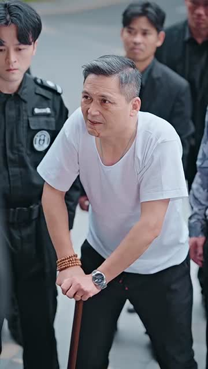 狼婿下山（99集）精彩好看短剧