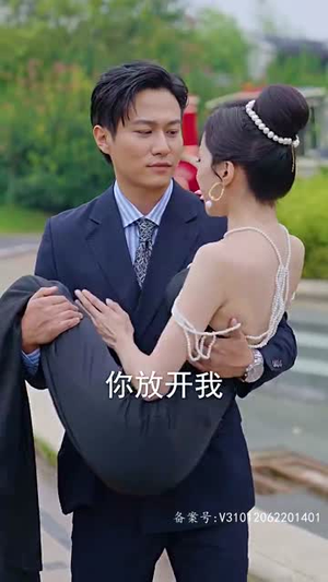 傲视潜龙（100集）最火的短剧