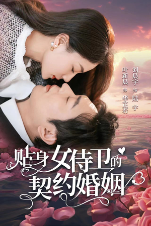 贴身女侍卫的契约婚姻(91集) 贴身女侍卫的契约婚姻(91集)短剧热播推荐