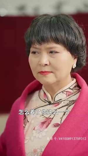 重回1993之逆转人生（80集）免费观看完整版