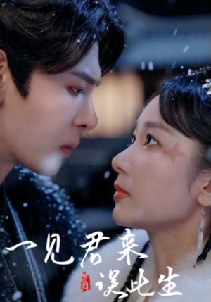 一见君来误此生（95集）短剧追不停