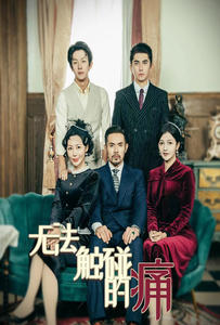 无法触碰的痛（80集）热门了短剧