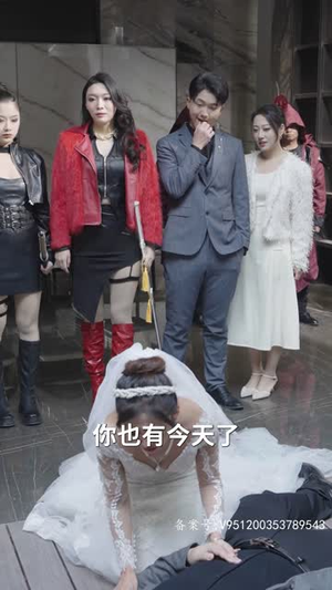 天域之王(82集) 天域之王(82集)全集下载