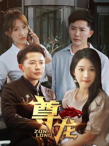 新版：尊龙（97集）追短剧看全集