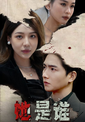 她是谁(79集) 她是谁(79集)精彩片段