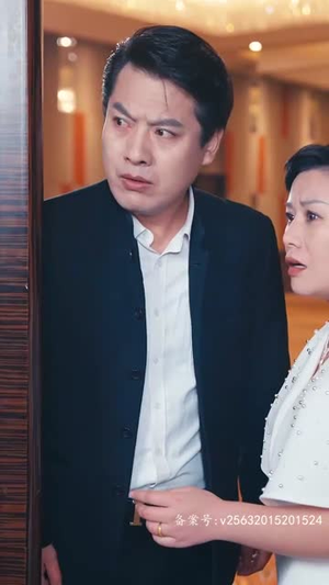 特工夫妇(82集) 特工夫妇(82集)超级好看的短剧