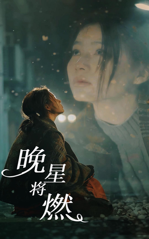 晚星将燃（93集）全剧免费观看