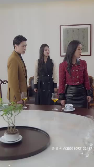 再见前夫(92集) 再见前夫(92集)短剧每日分享