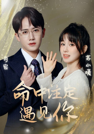 命中注定遇见你(96集) 命中注定遇见你(96集)零花钱看整部剧