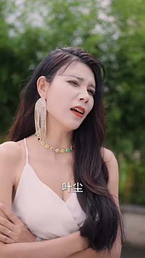 精武风云(96集) 精武风云(96集)短剧介绍