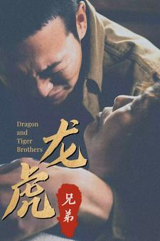 龙虎兄弟（80集）太好看了短剧