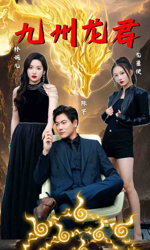 九州龙君（46集）在线播放