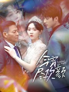 今宵尽欢颜（99集）短剧在线更新