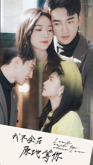 我不会在原地等你（48集）热播短剧追不停