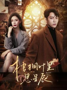 梧桐叶里思星辰（100集）在线免费观看