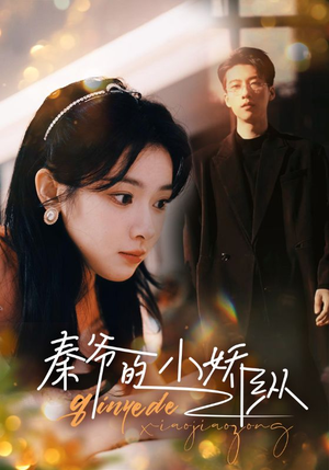 秦爷的小娇纵（96集）热门短剧分享