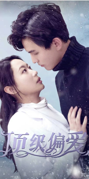 顶级偏爱(80集) 顶级偏爱(80集)第一季