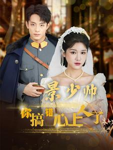景少帅你搞错心上人了（100集）全集