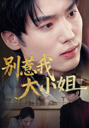 别惹我大小姐（40集）免费在线看