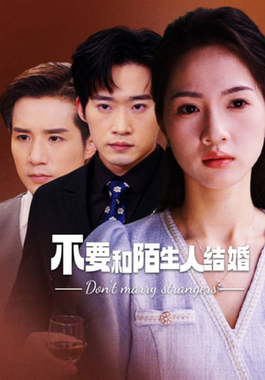 不要和陌生人结婚（90集）短剧中追到爽