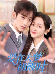 爱在大梦初醒时(100集) 爱在大梦初醒时(100集)哪个短剧网能看